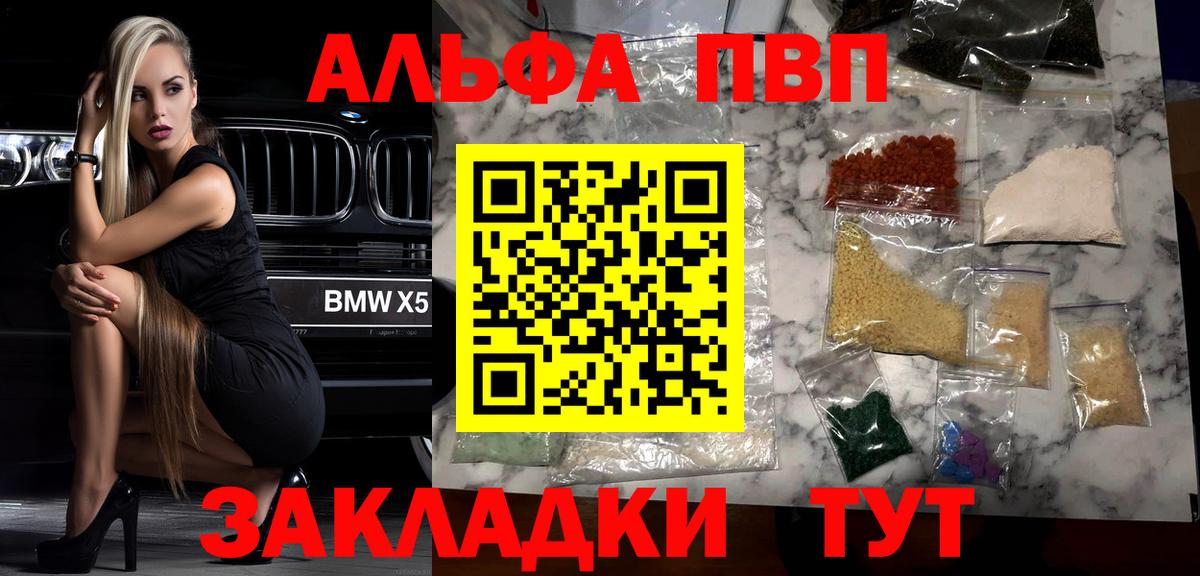 Alfa_PVP СК КРИС Луга