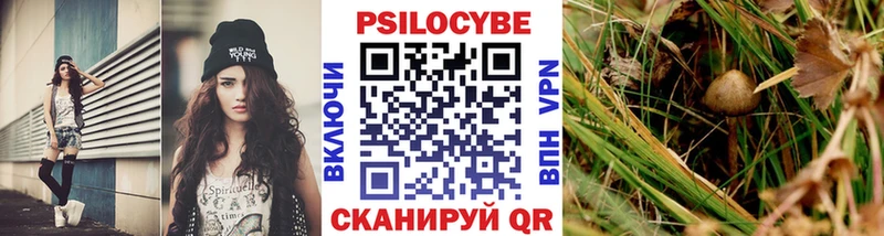 наркота  Луга  MEGA   Галлюциногенные грибы мицелий 