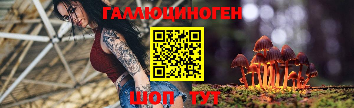 Галлюциногенные грибы мицелий  Луга  Псилоцибиновые грибы Cubensis 