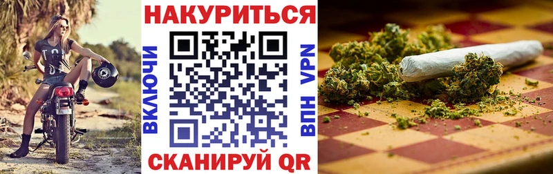 Каннабис MAZAR  Луга 