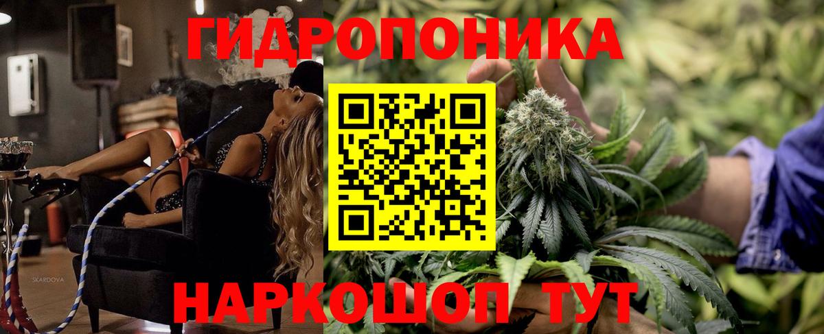 Конопля марихуана Луга
